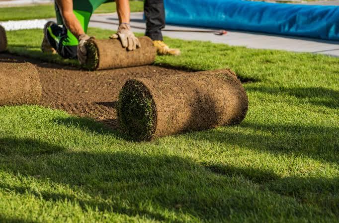 sod installation process
